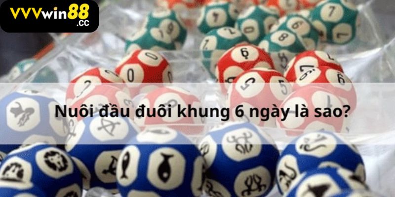 Nuôi Đầu Đuôi Khung 6 Ngày